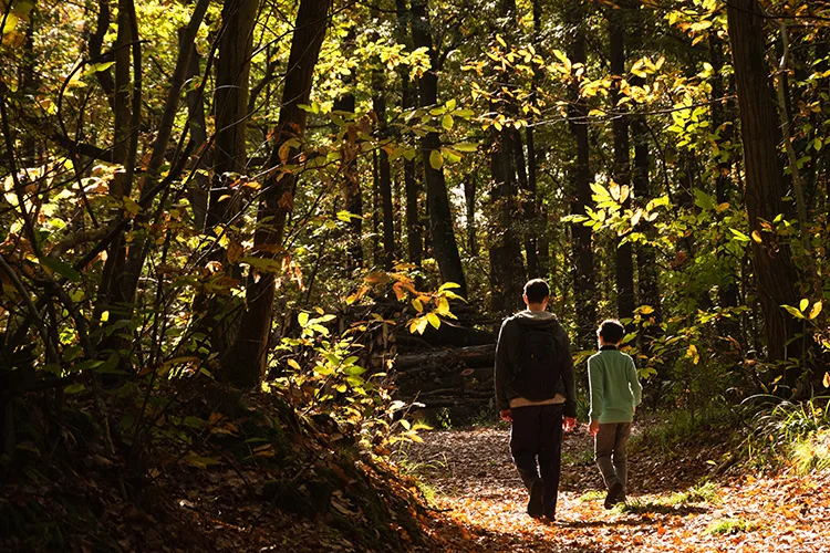 Padre e hijo caminando en la naturaleza