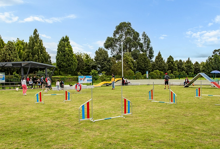 Adiestramiento canino del Club Bellavista Colsubsidio