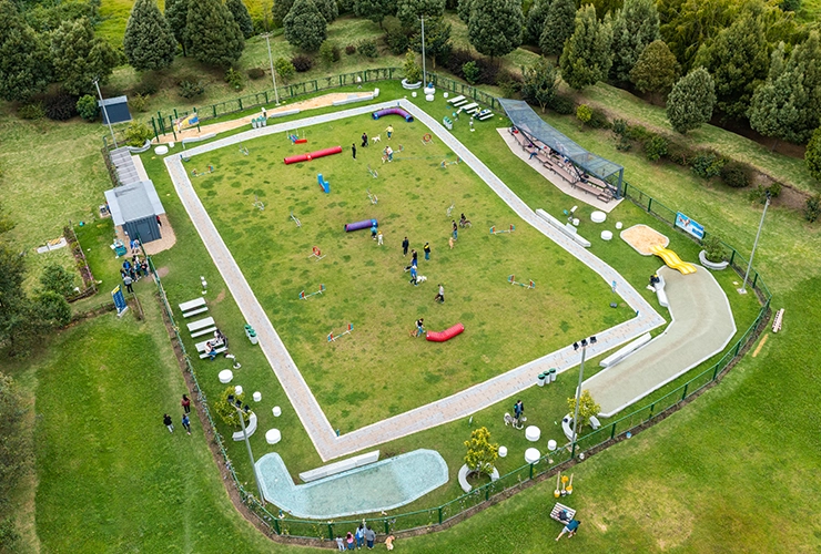 Espacio de adiestramiento canino