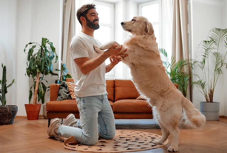 Persona con perro - adiestramiento