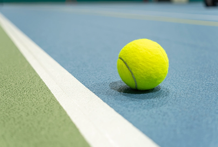 Pelota de tenis