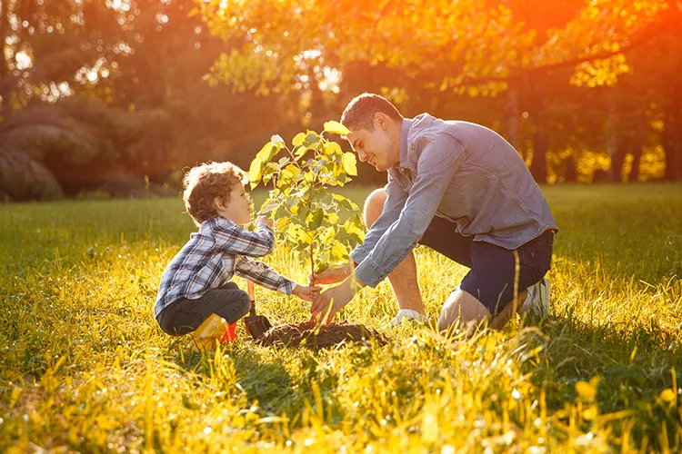 Padre e hijo sembrando un árbol