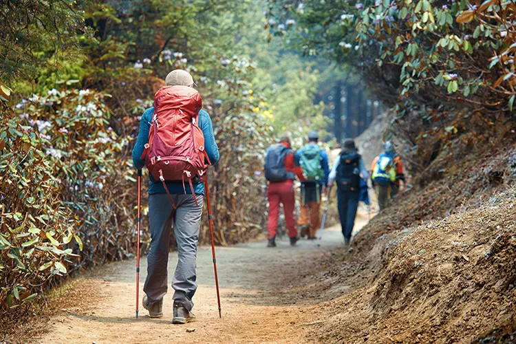 Persona en caminata ecológica