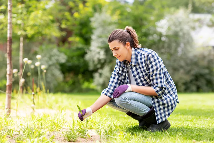 Mujer sembrando plantas