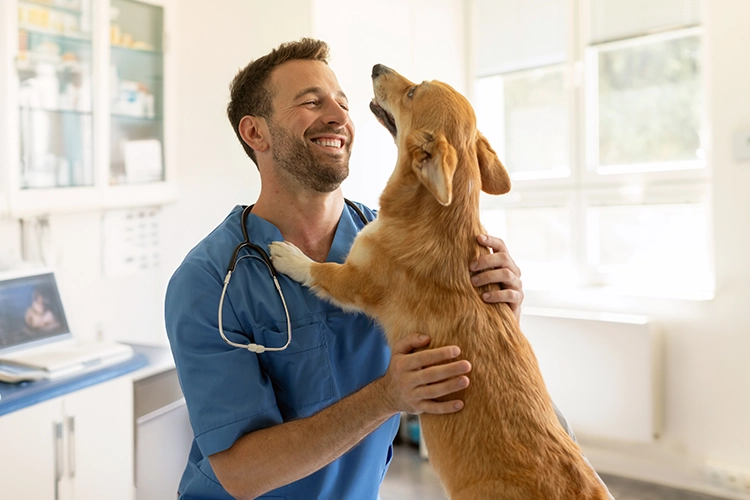 Medicina prepagada para mascotas