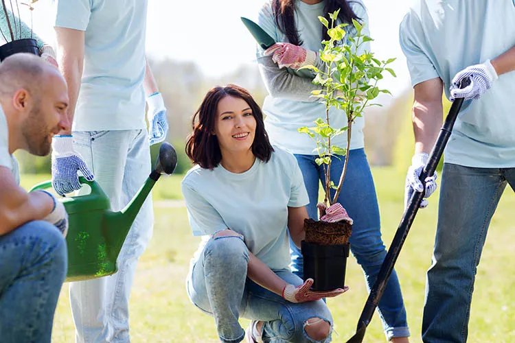 Personas plantando árbol