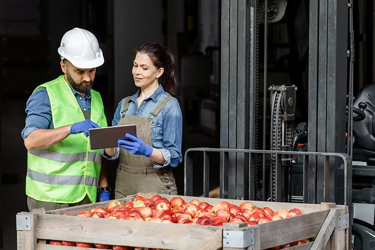 Personas trabajando