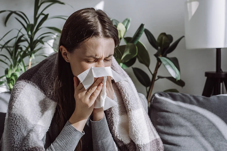 paciente con influenza