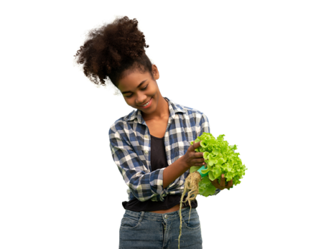 Las fotografias que se subieron de la carpeta no son contextuales a los copy, hacen referencia a otros temas, por ejemplo piscilago y colocan unos trabajadores 