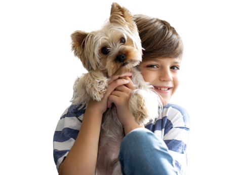 niño sosteniendo un perro en sus manos