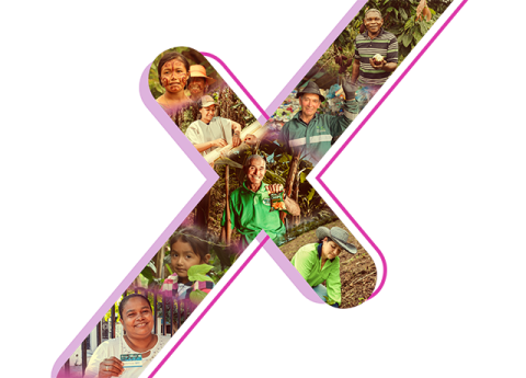 Xposible Colsubsidio.