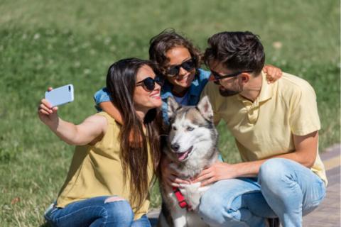 Festival Guau Colsubsidio